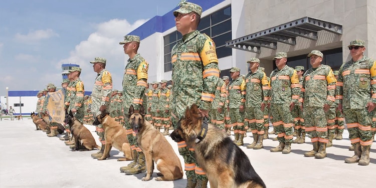 Binomios caninos que partieron ayer de la Base Aérea de Santa Lucía.