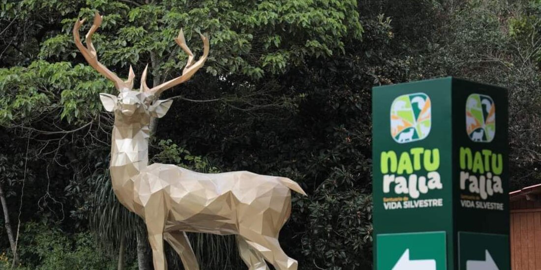 convivencia respetuosa con la biodiversidad.