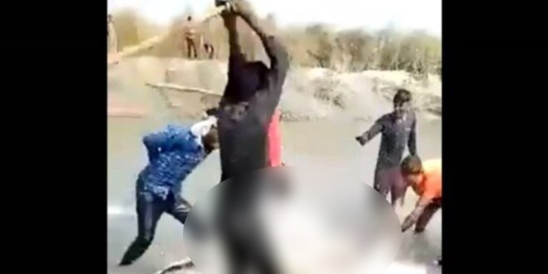 Matan a golpes a delfín en peligro de extinción