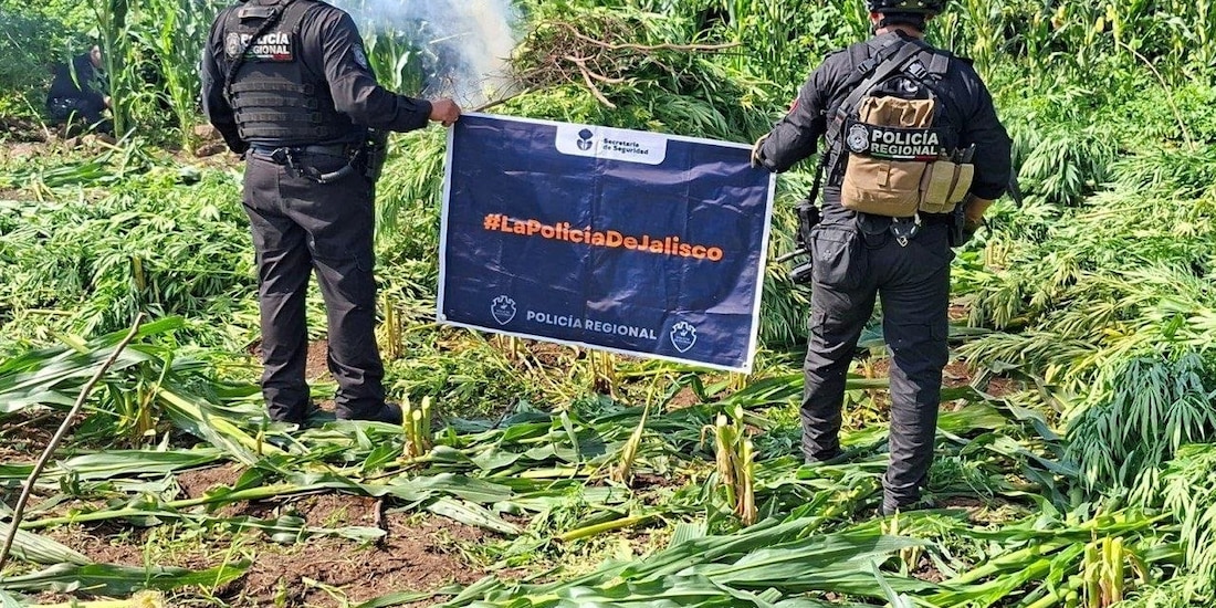 Operaciones contra la delincuencia.