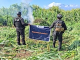 Operaciones contra la delincuencia.