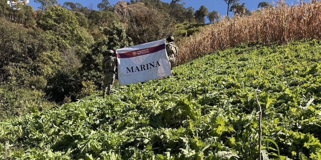 Elementos de la Secretaría de Marina
