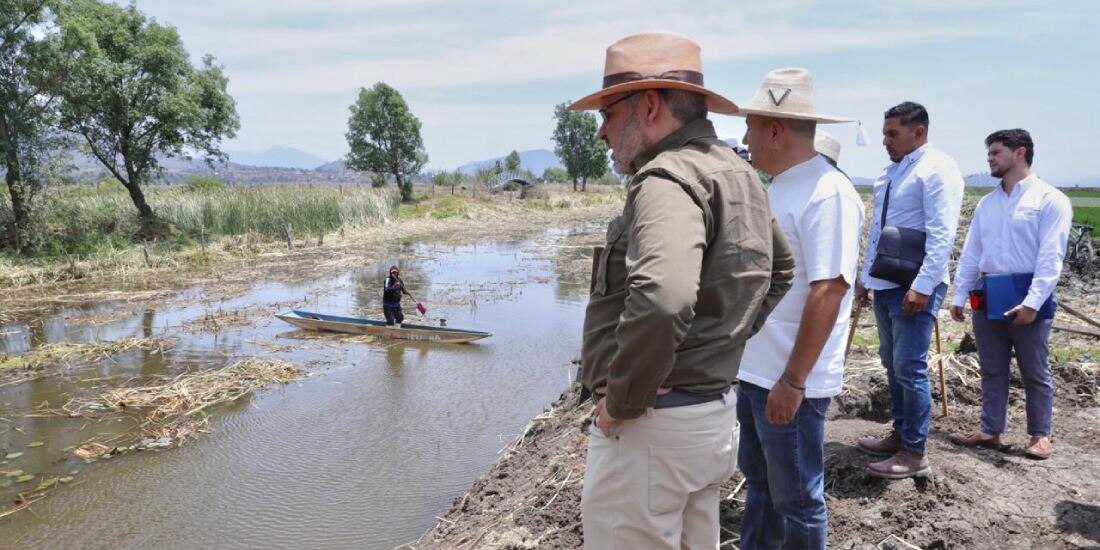 Recuperan 500 hectáreas del lago de Pátzcuaro en Michoacán.