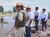 Recuperan 500 hectáreas del lago de Pátzcuaro en Michoacán.