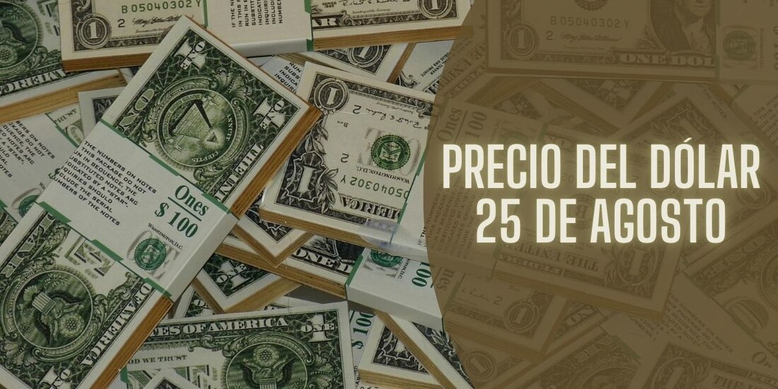 Este es el precio del dólar hoy domingo 25 de agosto de 2024.