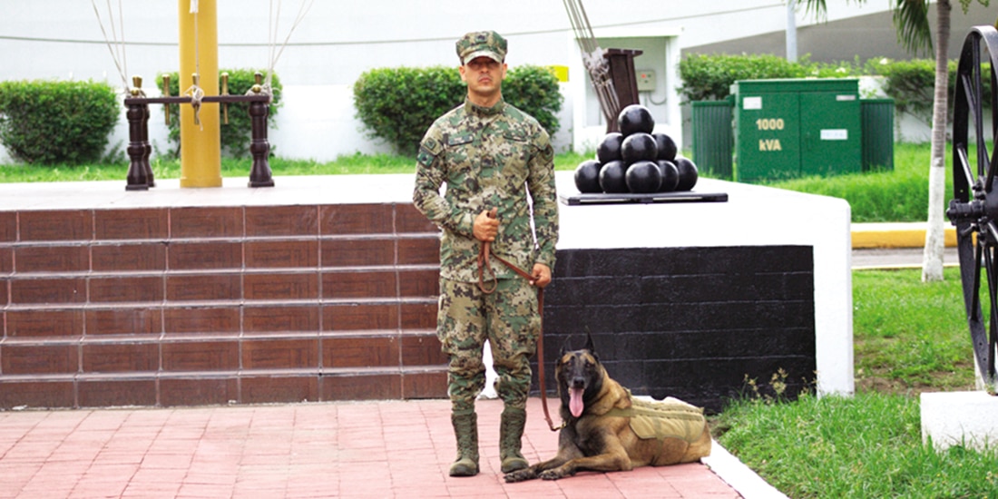 El pastor belga malinois, junto con su manejador, ayer, en Colima.