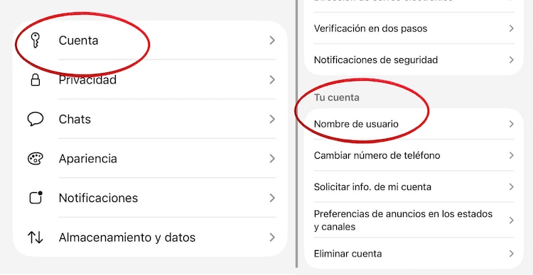Nombre de usuario de WhatsApp