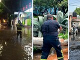 Anegaciones, árboles caídos y casas inundadas dejaron las tormentas, ayer.