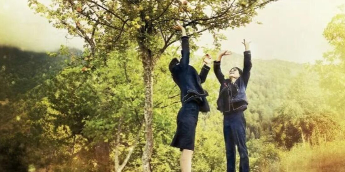 Góndola │ Las protagonistas en un cartel promocional