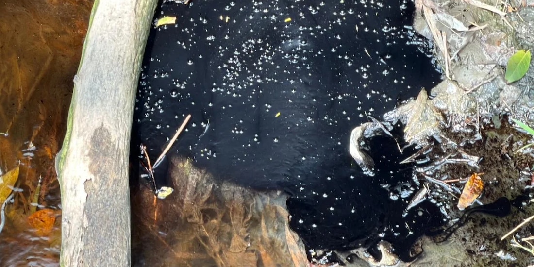 Aspecto del arroyo Hueleque, en Veracruz.