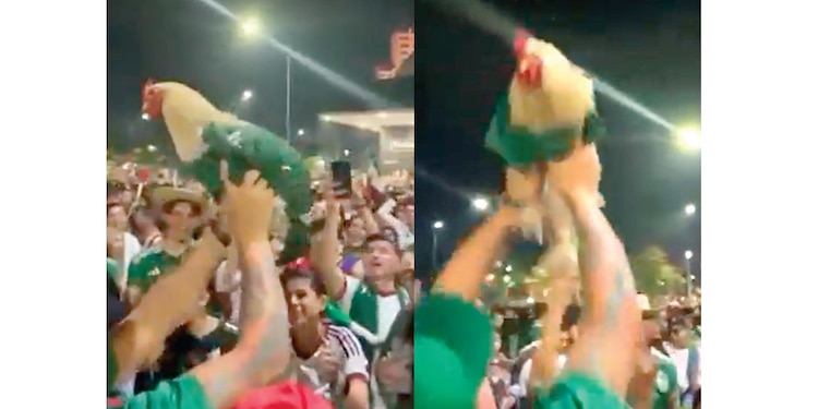 HASTA EL GALLO SALIÓ A CELEBRAR POR MÉXICO