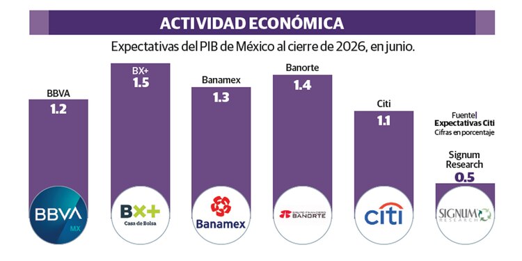 ACTIVIDAD ECONÓMICA