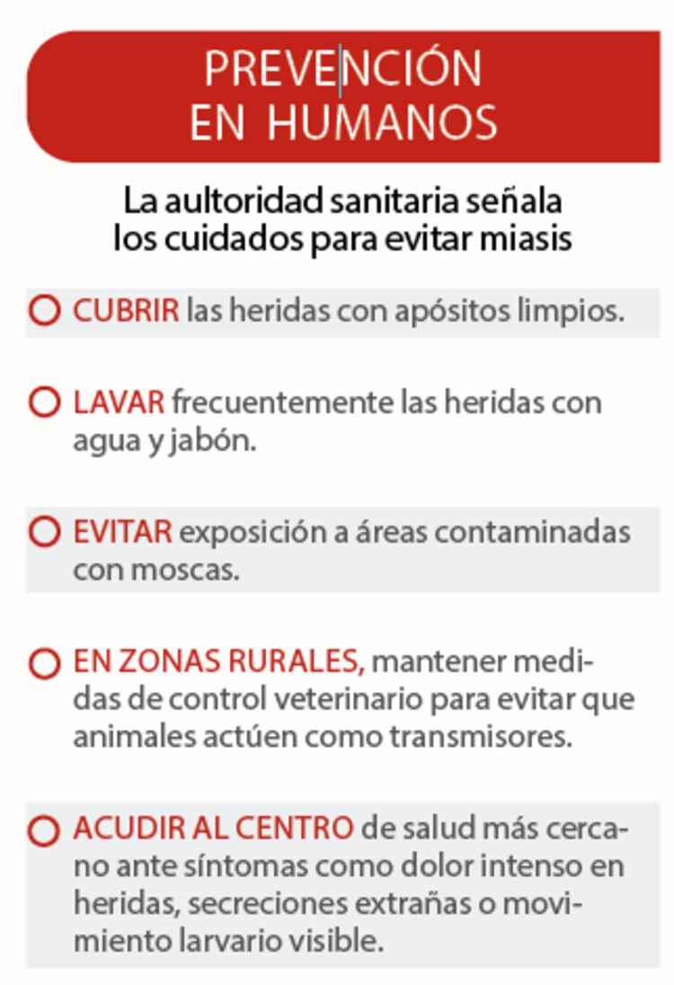 Prevención en humanos