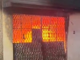 Incendio en vivienda de la GAM deja 14 perros muertos