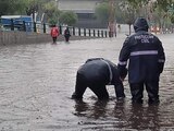 Personal de Protección Civil de Tlalnepantla trabajó varias horas en la avenida Mario Colín, tras la tormenta, ayer.