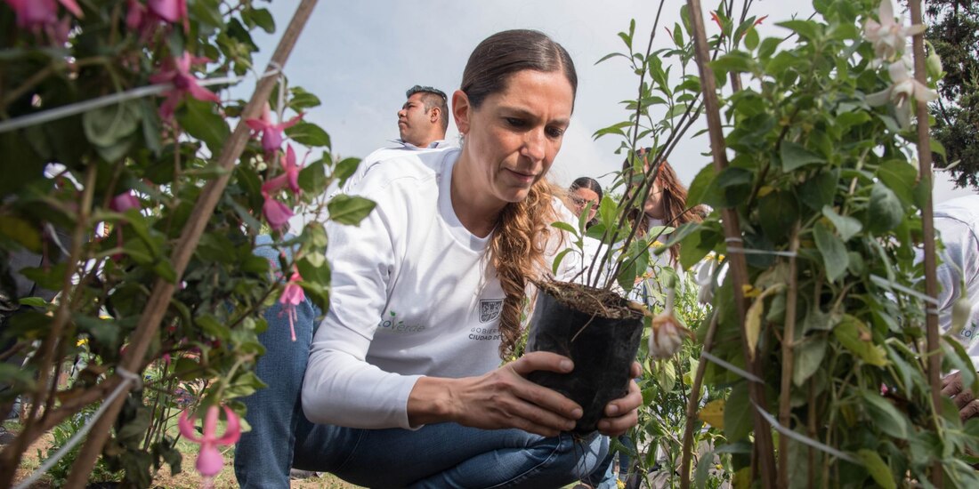 Marina Boy será la próxima titular de Profepa.