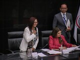 Leticia Ramírez Amaya durante su comparecencia en el Senado, ayer.