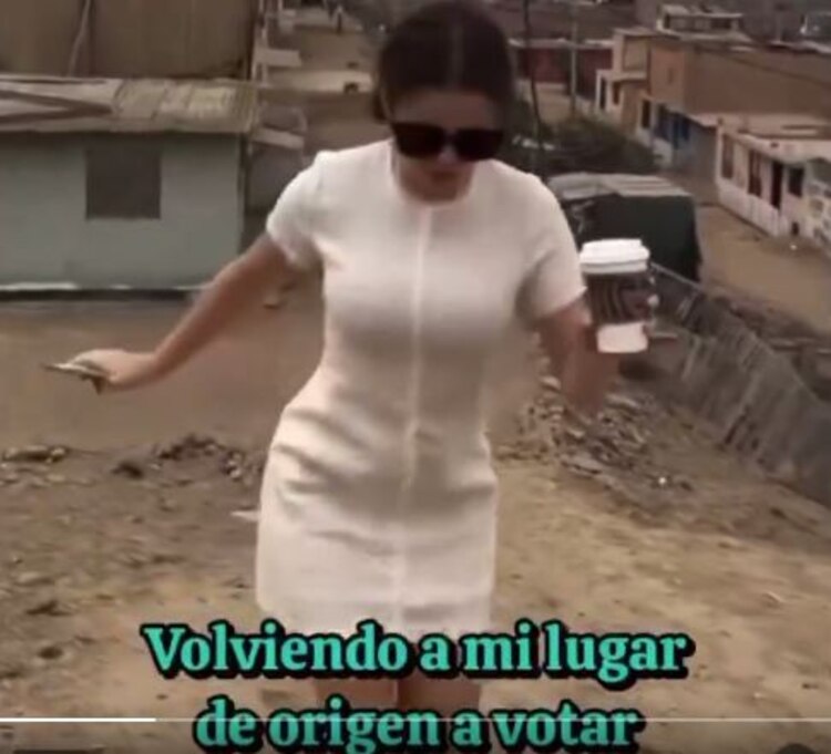 Memes de las elecciones 2024