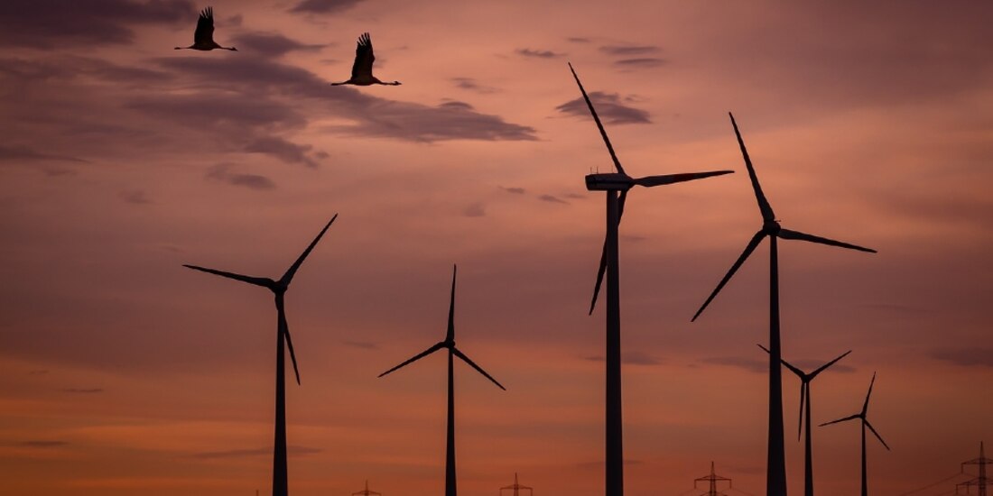 “Deberían actuar con prudencia, quedarse callados, incluso hacer, si no ofrecen disculpas", dijo el titular del Ejecutivo.