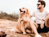 Acariciar a tu mascota reduce niveles de estrés.