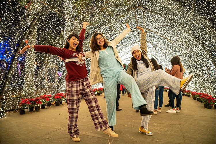 Navidalia abre sus puertas.