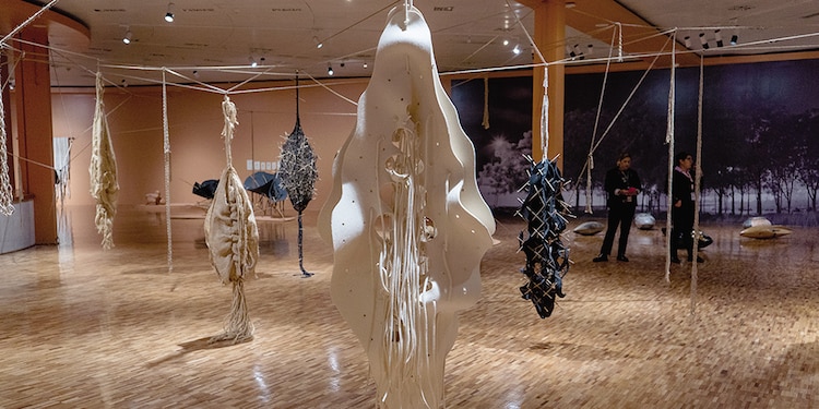 ASPECTO de la exhibición Gerda Gruber.
Entre verde y agua en el MAM
