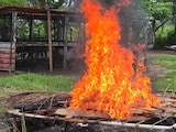 Marina desactiva arsenal explosivo asegurado en Tabasco