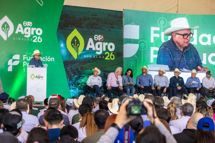 Sinaloa otorgó un apoyo extraordinario de 400 pesos por tonelada a productores de trigo.
