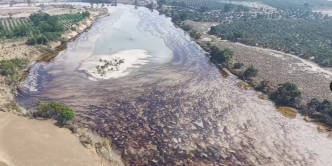 Afectación de ducto en Álamo - Temapache, provocó derrame de combustible en Río Pantepec; Pemex ya atendió emergencia.