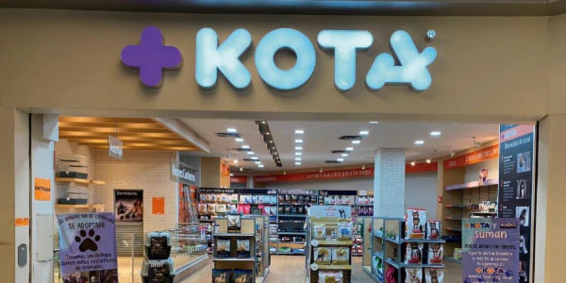 Declaran en quiebra a +Kota tras no lograr un acuerdo con sus acreedores.