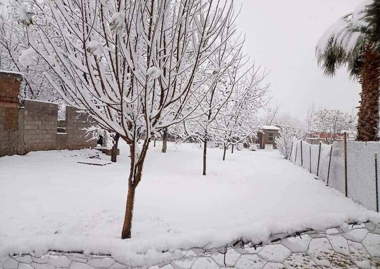Pobladores comparten la vista desde sus casas por la caída de nieve en la región.