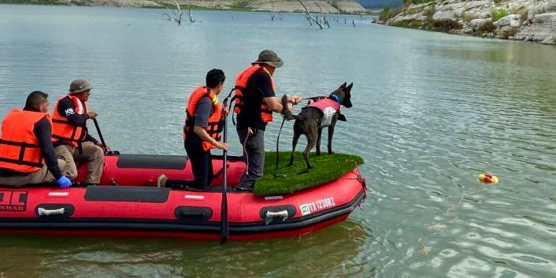 Momento del trabajo de los caninos mexicanos.
