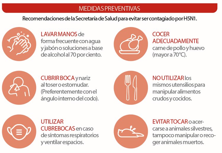 Medidas preventivas │ Recomendaciones de la Secretaría de Salud para evitar ser contagiado por H5N1.
