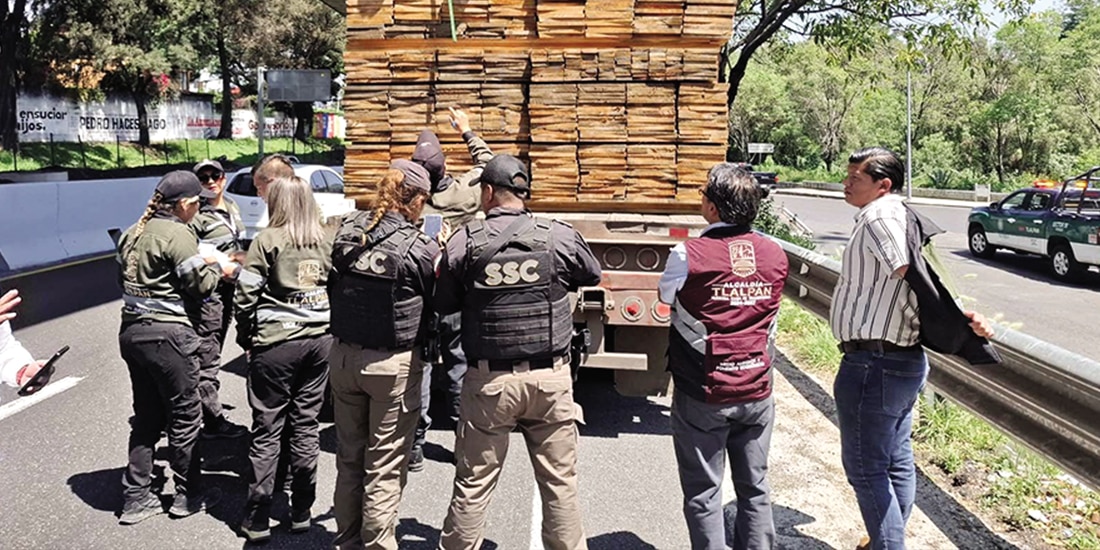 Autoridades recuperan la madera talada de manera ilegal, ayer, en Tlalpan.