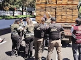 Autoridades recuperan la madera talada de manera ilegal, ayer, en Tlalpan.