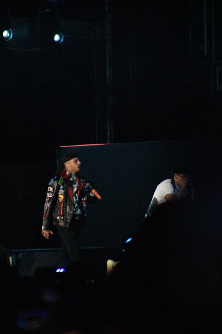 Rauw Alejandro en el Flow Fest 2021