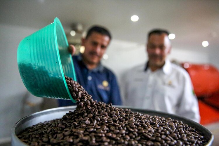 Las exportaciones agroalimentarias del país sumaron 27 mil 511 millones de dólares a junio, lo que significó un aumento anual de 5.38 por ciento.