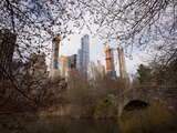 Esta imagen del 17 de abril de 2018 muestra varios rascacielos captados desde Central Park, Nueva York, donde un perro fue apuñalado este domingo