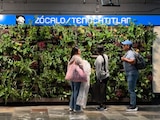 Los nuevos muros verdes en los andenes de la Línea 2 buscan mitigar el estrés urbano y purificar el aire de los pasajeros.