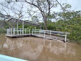 Debido a los efectos de Celia, parte de un puente se desprendió en el Río Grijalva, en Tabasco, ayer.