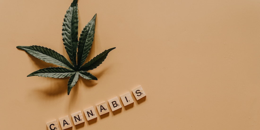 Cannabis en imagen ilustrativa