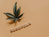 Cannabis en imagen ilustrativa
