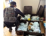 OPERATIVO, ayer, en Mexicali