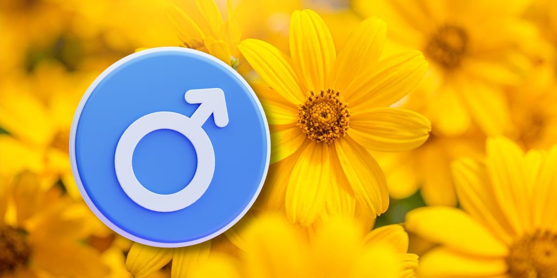 ¿Qué significa regalar flores amarillas a un hombre?