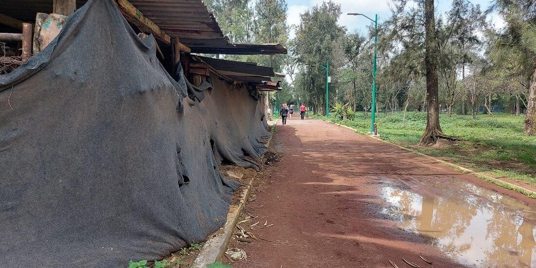 La zona de los caballos y los ponis, en el descuido total
