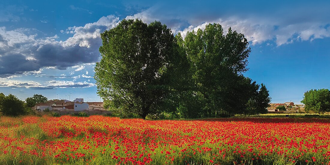 Amaneció un muerto. Lenguaje y violencia