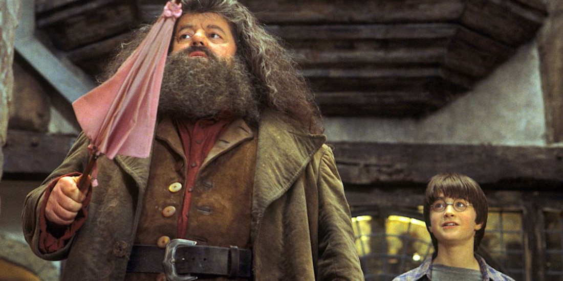 ¿Por qué Hagrid tenía prohibido hacer magia en el mundo de Harry Potter?