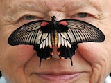 David Attenborough, en julio de 2012