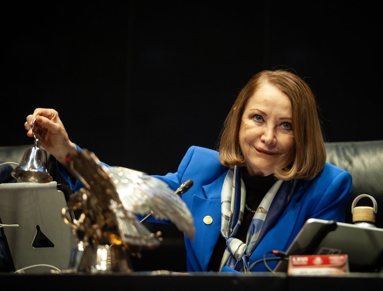 La presidenta del Senado, Laura Itzel Castillo