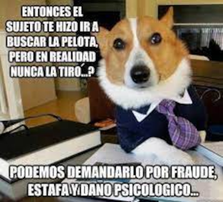 Los mejores memes por el Día del Abogado en La Razón.
